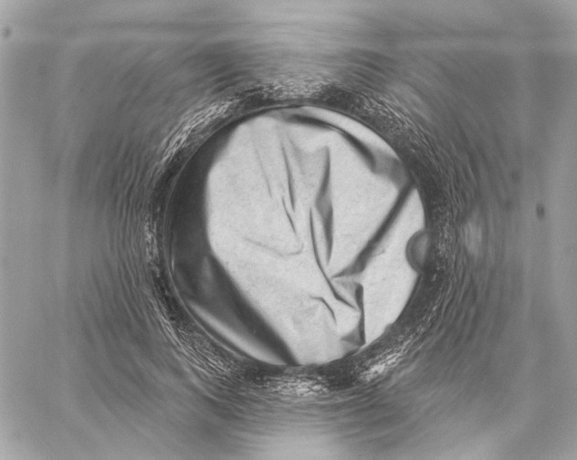 X0000059240743200511041307