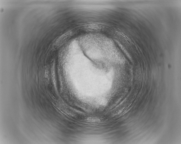 X0000059240749200511041307