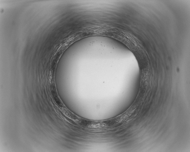 X0000059240752200511041307