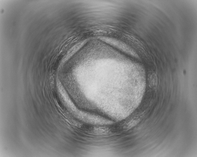 X0000059240753200511041307