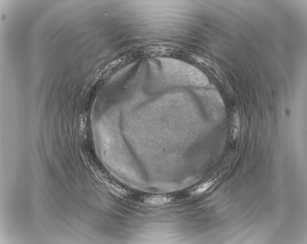 X0000059240759200511041307