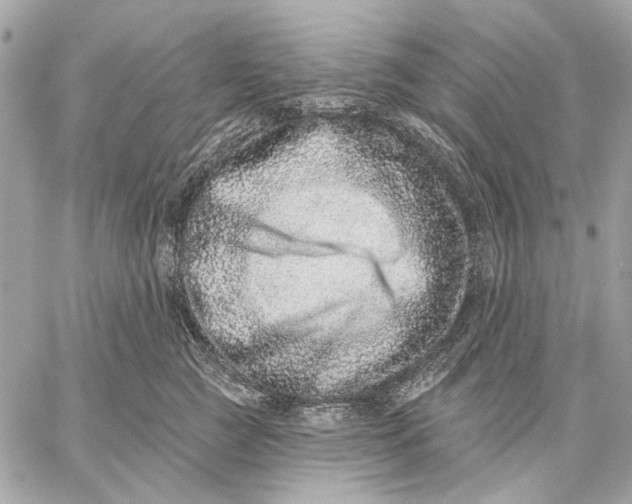 X0000059240761200511041307