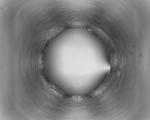 X0000059240764200511041307