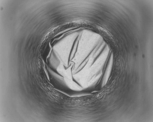 X0000059240776200511041307