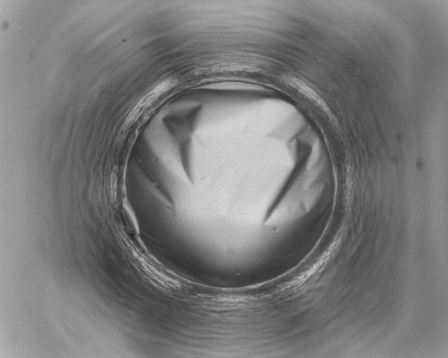 X0000059240777200511041306