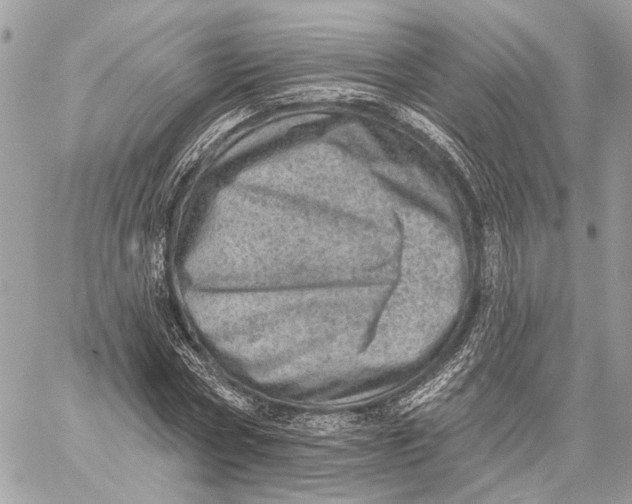 X0000059240778200511041306