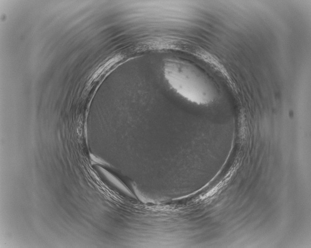 X0000059240785200511041306