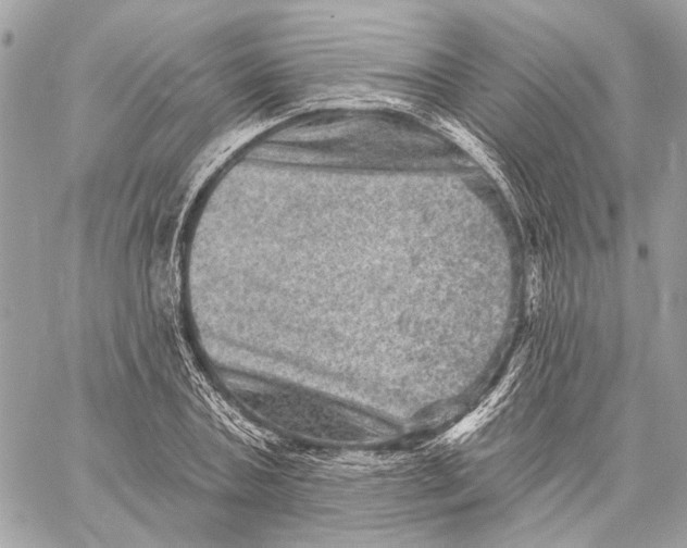X0000059240787200511041306