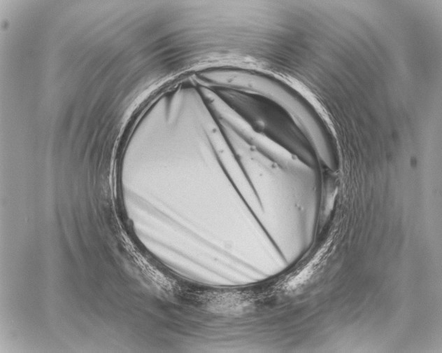 X0000059240791200511041306