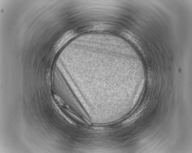 X0000059240794200511041306
