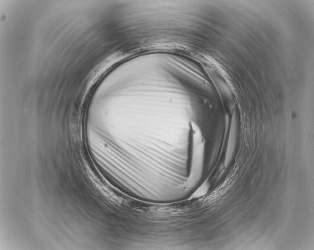 X0000059240795200511041306