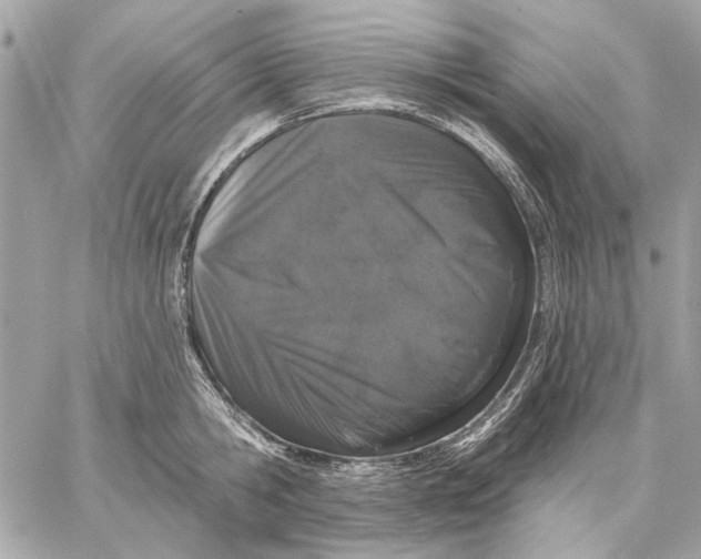 X0000059240806200511041306