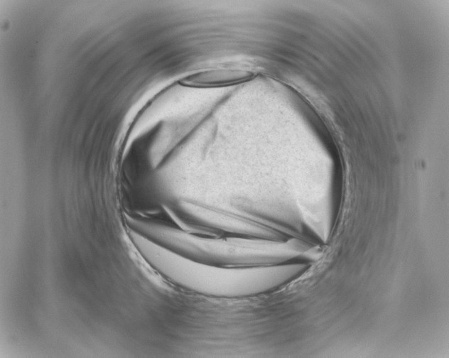 X0000059240816200511041306