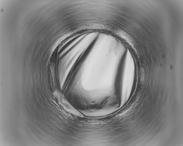 X0000059240829200511041305