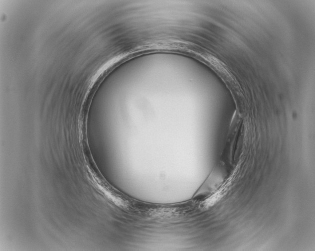 X0000059240846200511041306