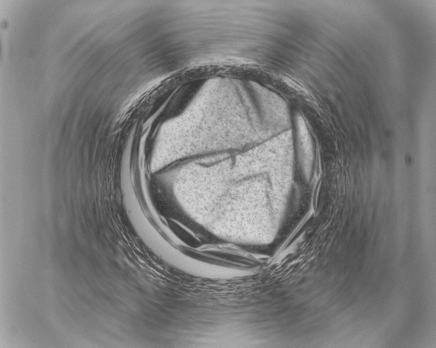 X0000059240872200511041305