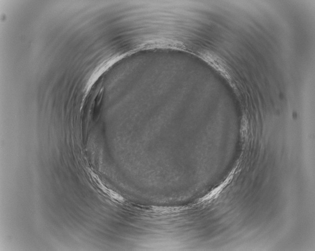 X0000059240877200511041305