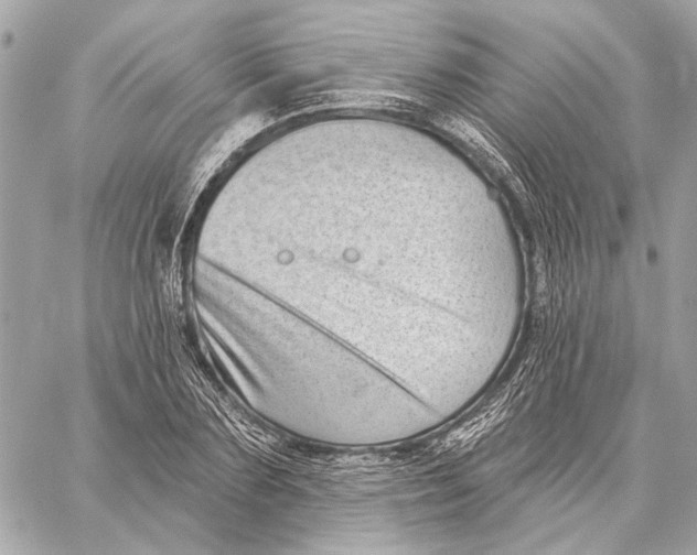 X0000059240883200511041305