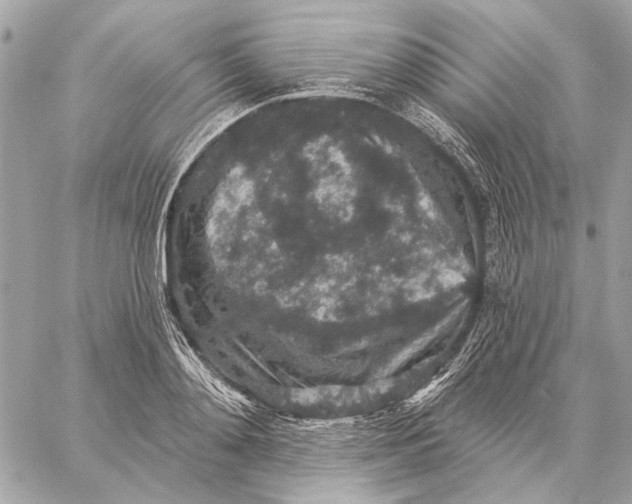 X0000059240892200511041305