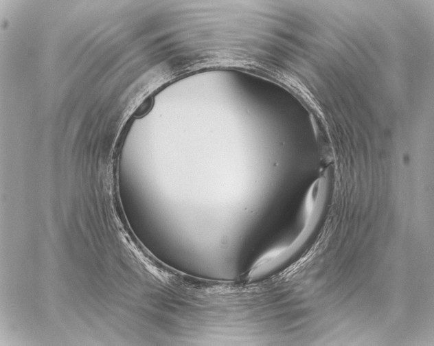 X0000059240898200511041304