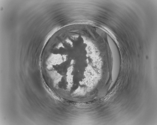 X0000059240907200511041304