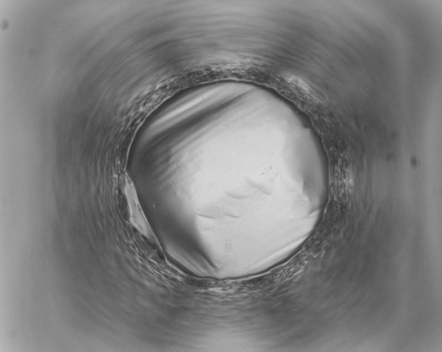 X0000059240917200511041303