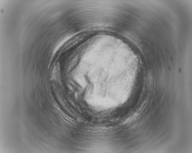 X0000059240925200511041304