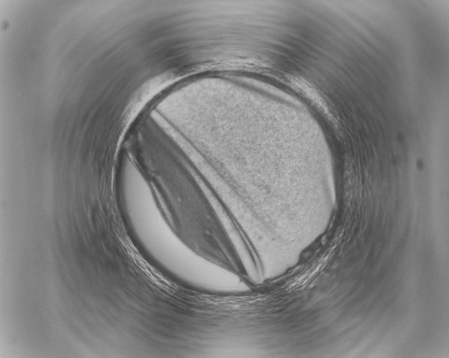 X0000059240932200511041304
