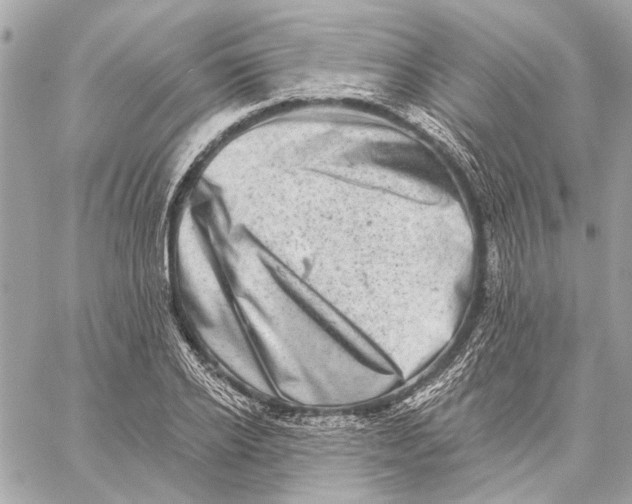 X0000059240934200511041304