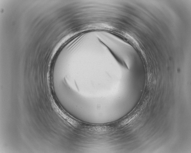 X0000059240947200511041304
