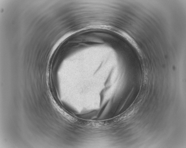 X0000059240955200511041304