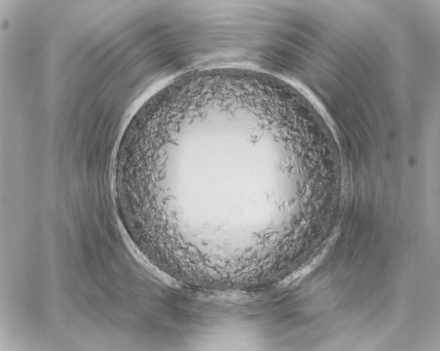 X0000059240957200511041304