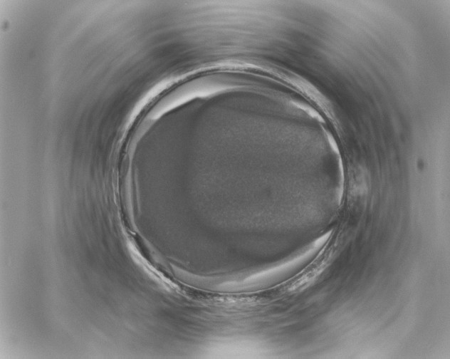 X0000059240958200511041304