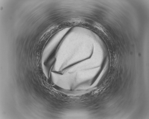 X0000059240967200511041303