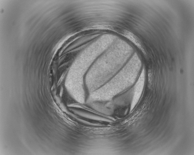 X0000059240972200511041303