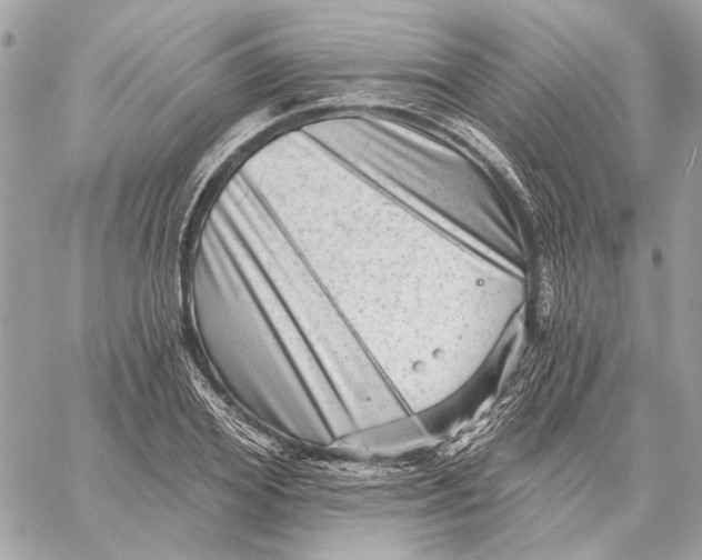 X0000059240980200511041303