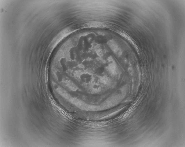 X0000059240983200511041303