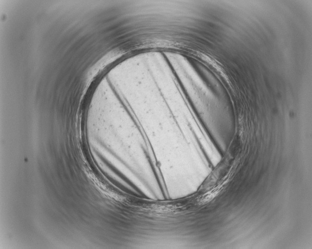 X0000059240987200511041303