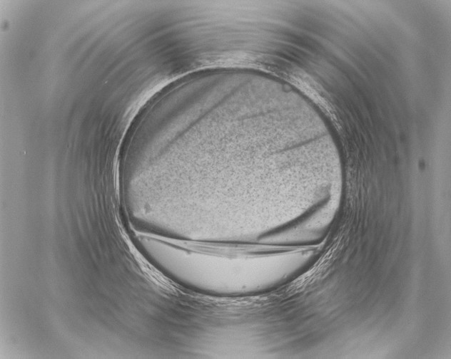 X0000059240988200511041303
