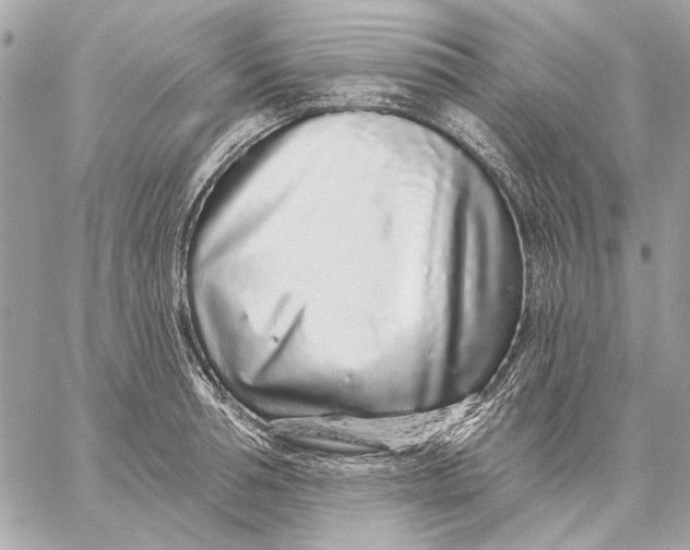 X0000059240994200511041303