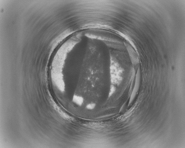X0000059240995200511041303