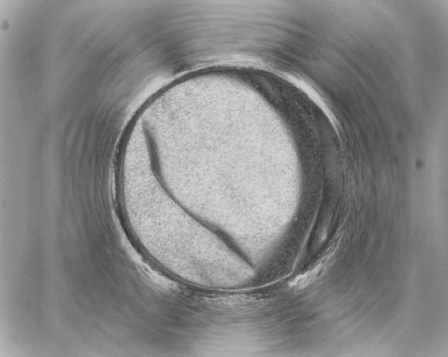 X0000059240999200511041303