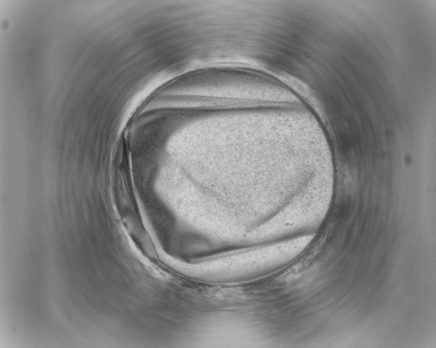 X0000059241006200511041303