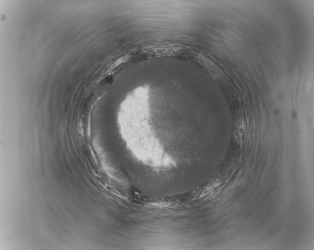 X0000059241010200511041302