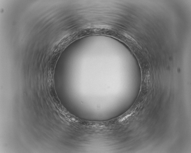 X0000059241014200511041302