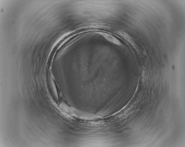 X0000059241024200511041302