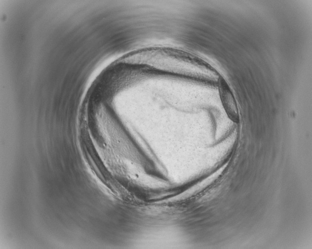 X0000059241056200511041302