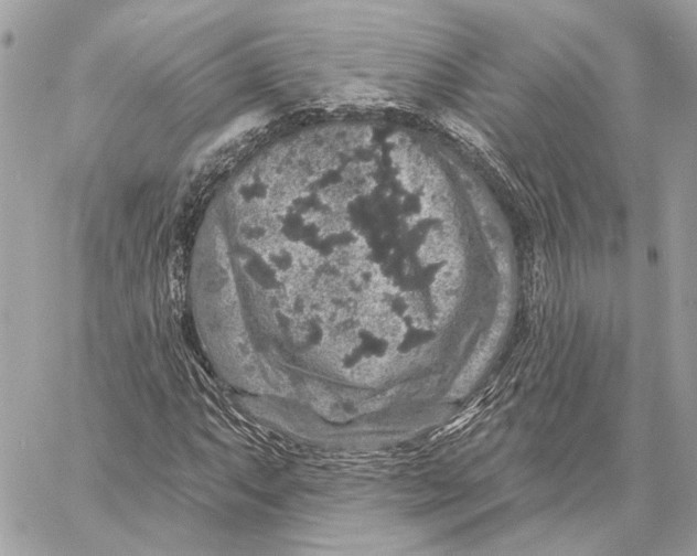 X0000059241063200511041302