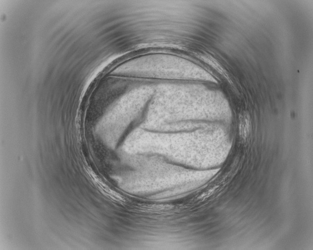 X0000059241068200511041302