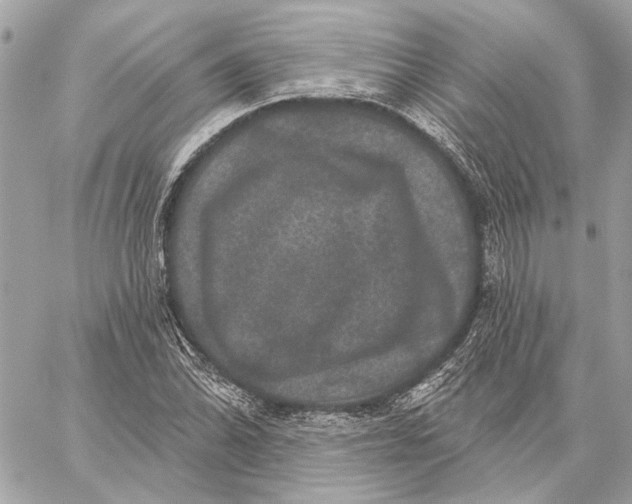 X0000059241070200511041301